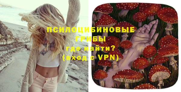 МДМА Богданович