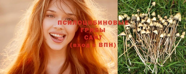 прущий лед Богородицк