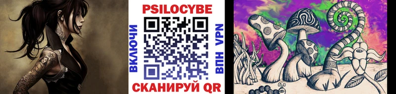 купить   Малая Вишера  Псилоцибиновые грибы ЛСД 