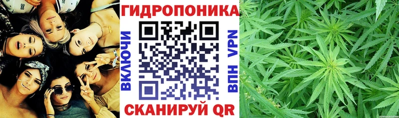 omg зеркало  маркетплейс состав  Марихуана ГИДРОПОН  Малая Вишера 